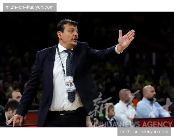 埃菲斯核心球员状态分化 卢西奇近五场场均22分7篮板